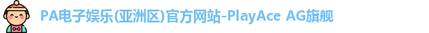 pa电子娱乐